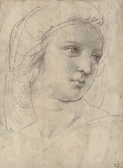 Kopf einer Muse von Raffaello Sanzio Raphael